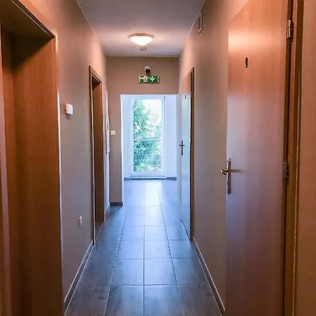 Lawendowy Breslau