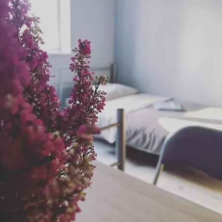 Lawendowy Albergue Wrocław
