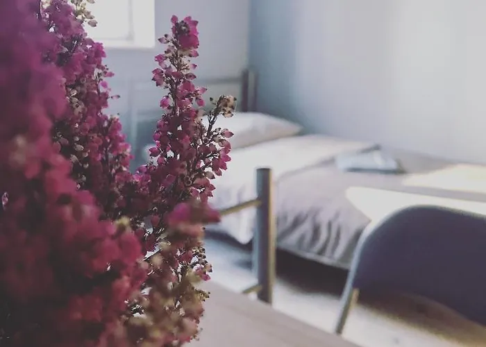 Lawendowy Hostel Βρότσλαβ